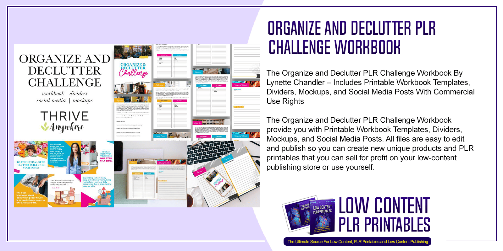 Organize and Declutter PLR Challenge Workbook