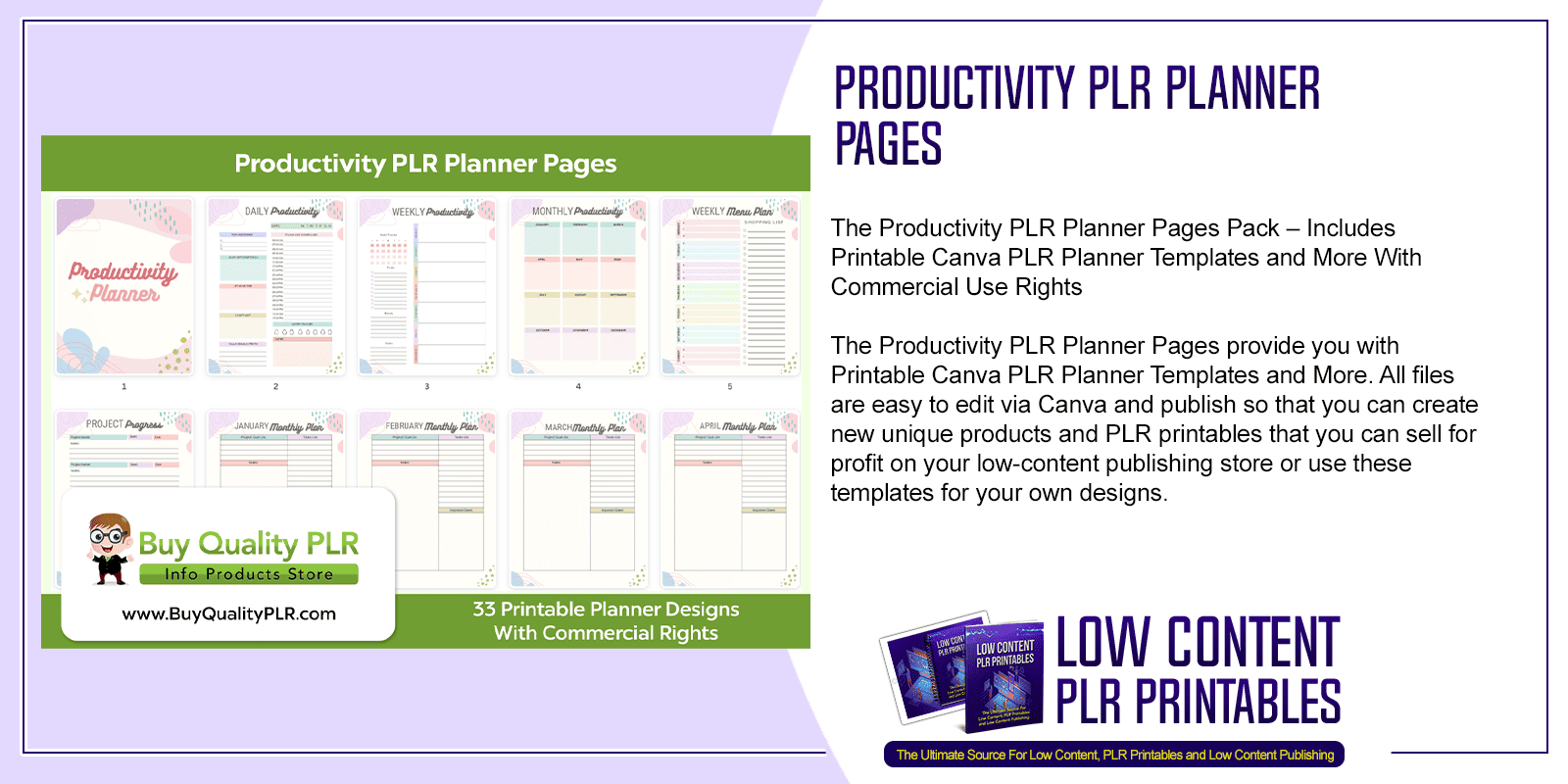 Productivity PLR Planner Pages