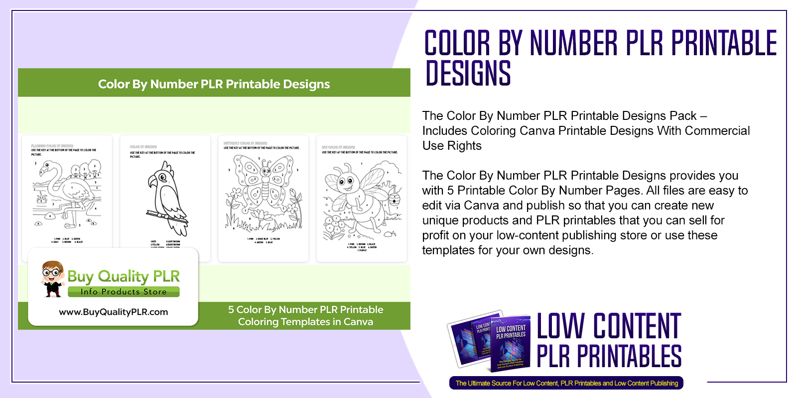 Color By Number PLR Printable Designs