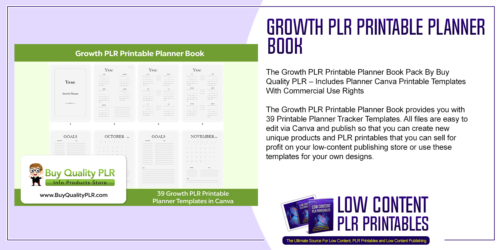 Growth PLR Printable Planner Book