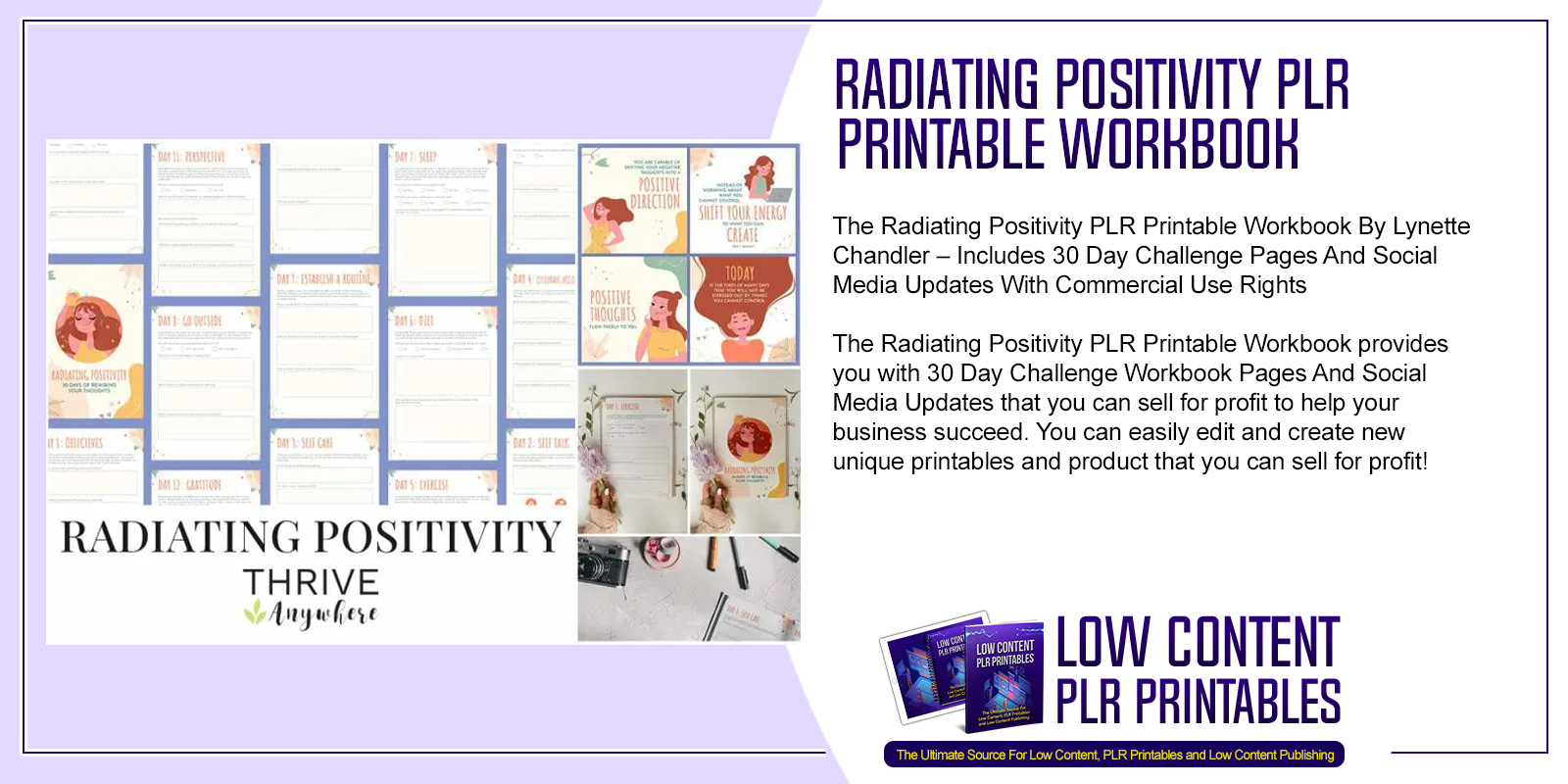 Radiating Positivity PLR Printable Workbook